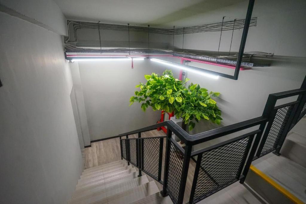 Oyo 568 Rajawali Homestay Palembang Eksteriør bilde