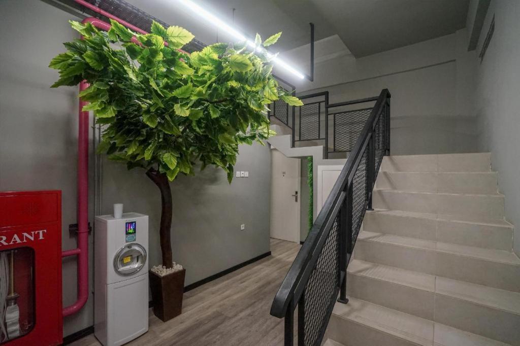 Oyo 568 Rajawali Homestay Palembang Eksteriør bilde